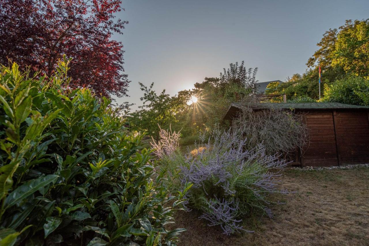 Ferienhaus bis 10 Personen und 2,5 Schlafzimmern Geisenheim Exterior foto